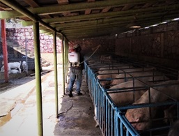 Cobertura de Acneem en pasillos de la instalación